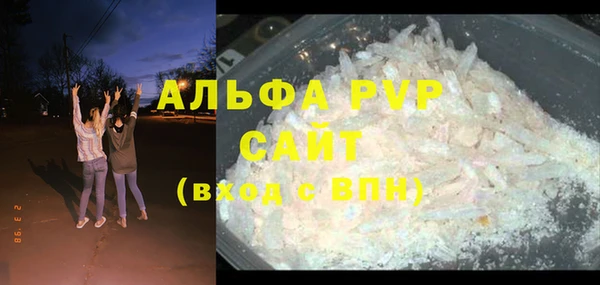 прущие грибы Верея