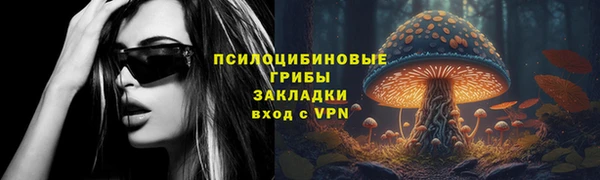 прущие грибы Верея