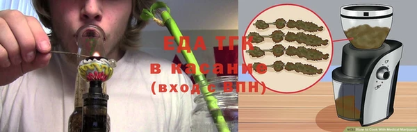 прущие грибы Верея