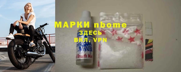 прущие грибы Верея