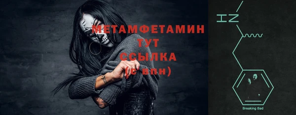 прущие грибы Верея