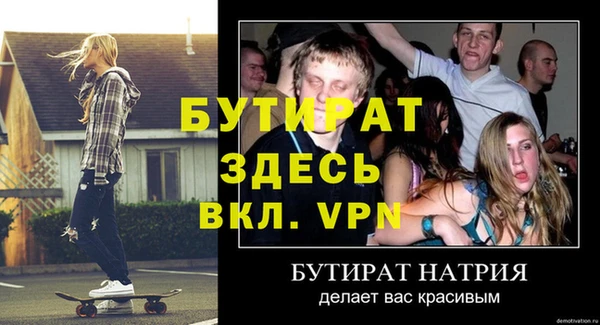 прущие грибы Верея