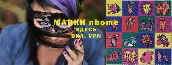 прущие грибы Верея