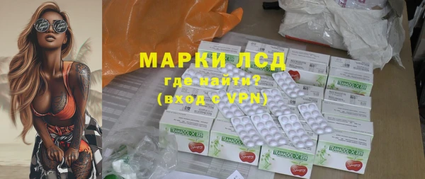 прущие грибы Верея