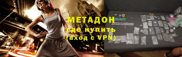 прущие грибы Верея