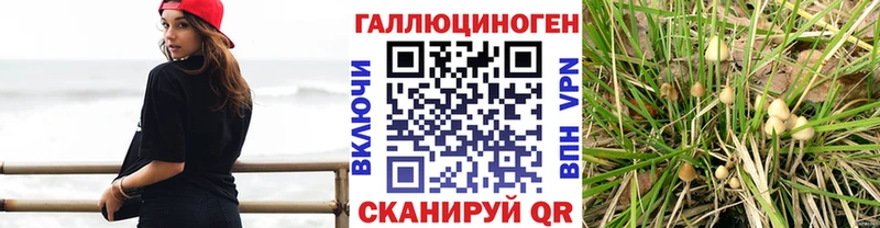 Псилоцибиновые грибы Magic Shrooms  сколько стоит  Канск 